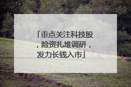 重点关注科技股，险资扎堆调研，发力长钱入市